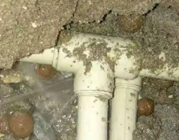 青山湖测漏水多少钱