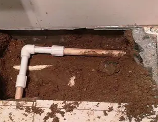 青山湖测漏水哪家好