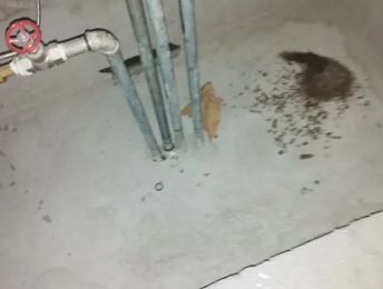 青山湖卫生间测漏水价格明细