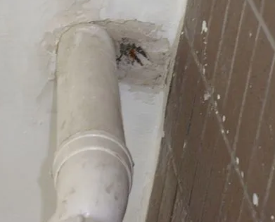 青山湖漏水检测哪家好